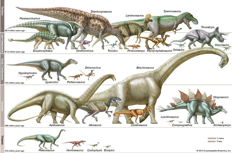 جدول زمان حیات و انقراض دایناسورها