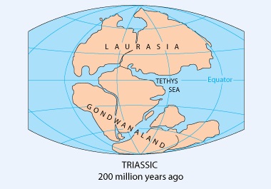 تشکیل گندوانا و لوراسیا از قاره ی پاگه آ و پیدایش دریای تتیس