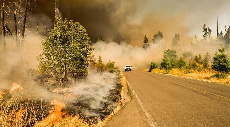 ارتباط میان تغییرات اقلیمی و آتش سوزی جنگل ها