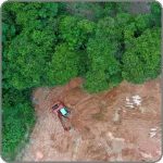 در دهه گذشته بیش از 6 میلیون هکتار از جنگلهای آمازون از بین رفته است