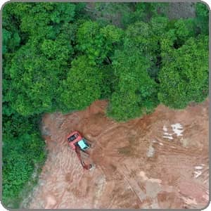 در دهه گذشته بیش از 6 میلیون هکتار از جنگلهای آمازون از بین رفته است