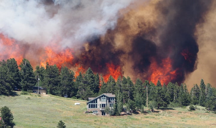 آتش سوزی جنگل مقابله با گرمایش جهانی