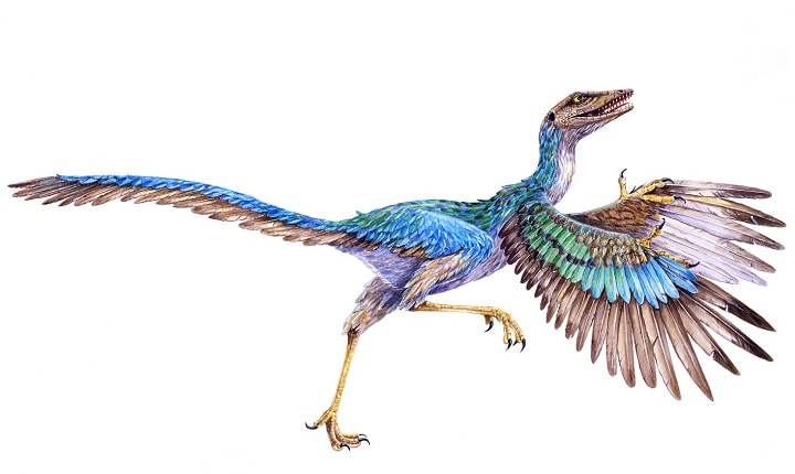دایناسورها اجداد پرندگان