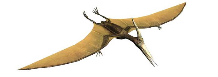 دایناسور پرنده منقرض